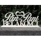 Wedding sign Mr and Mrs