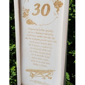 Holzflugzeuggehäuse 2