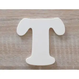 The letter T