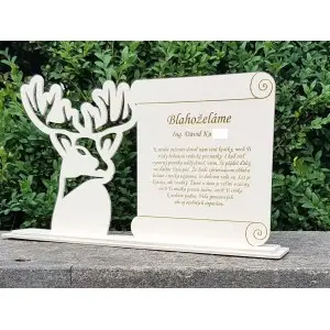 Ein maßgeschneidertes Geschenk zur Abschlussfeier mit einer persönlichen Widmung 2