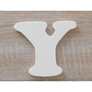 The letter Y
