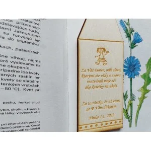 Geschenk für die Lehrerin Lesezeichen Preis pro Stück