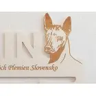 Drevený držiak na medaile s laserovaním 45cm plemeno Americký bezsrstý teriér