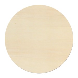 Kreisschnitt 10 cm Stückpreis