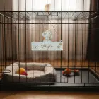 Drevená menovka pre psíka 25x15,5cm