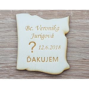 Angepasste Werbemagnete Bild 5cm