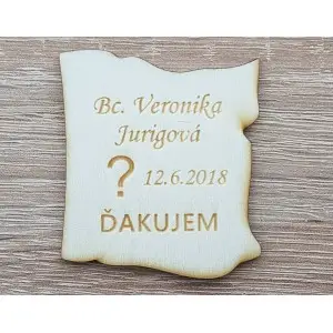 Custom promotion magnets image 5cm