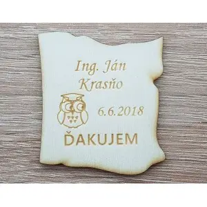 Magnete Werbeaktion Eule 5cm